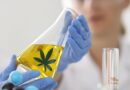 Exploring Cannabis Testing Regulations: Focusing on Fungus, Bacteria, and More